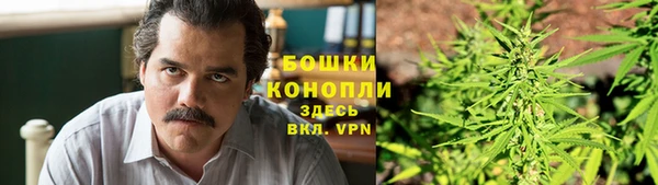 apvp Белокуриха