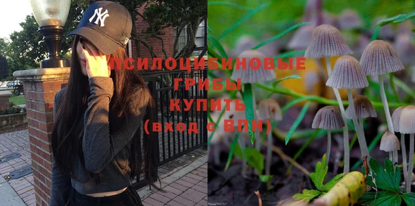 амф Надым