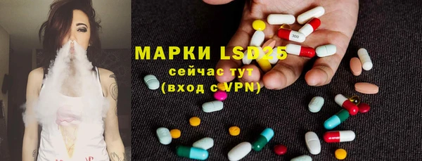 эйфоретик Беломорск