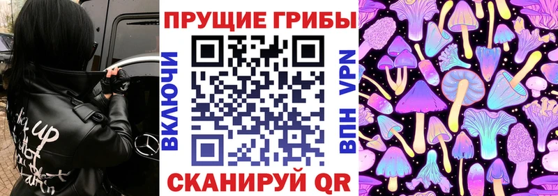 закладка  Железногорск-Илимский  Псилоцибиновые грибы прущие грибы 